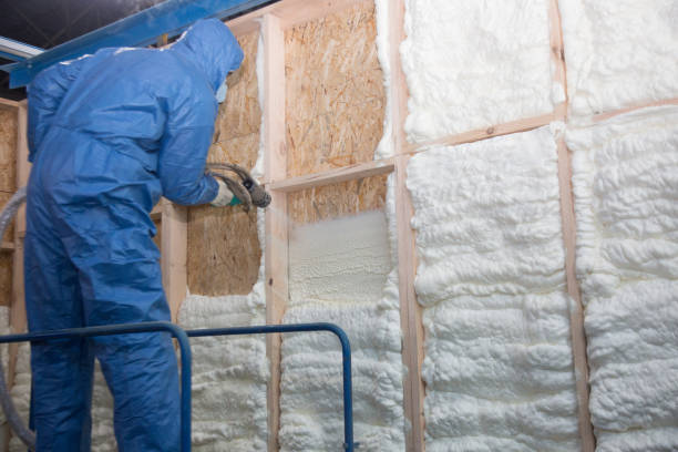 Types of Insulation We Offer in Somerton, AZ